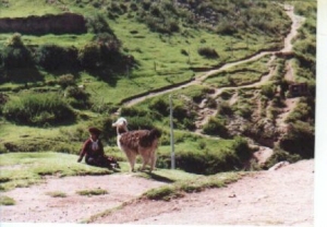 woman with Llama